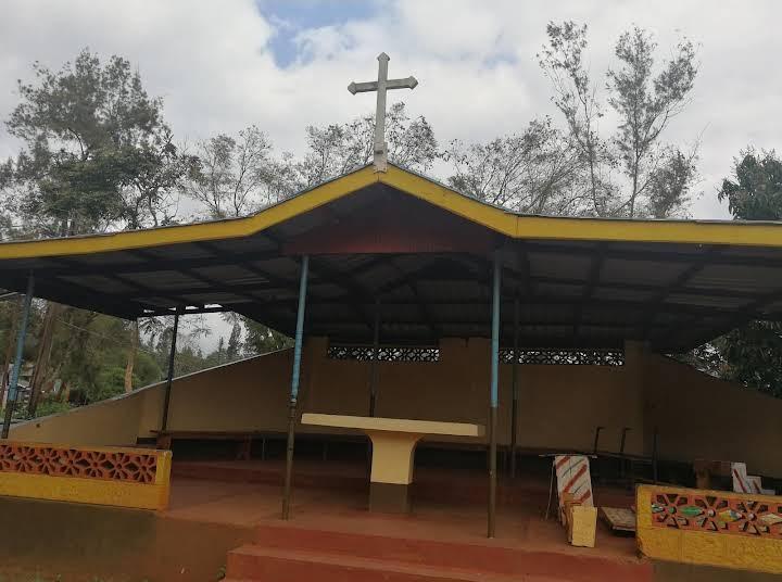 Our School